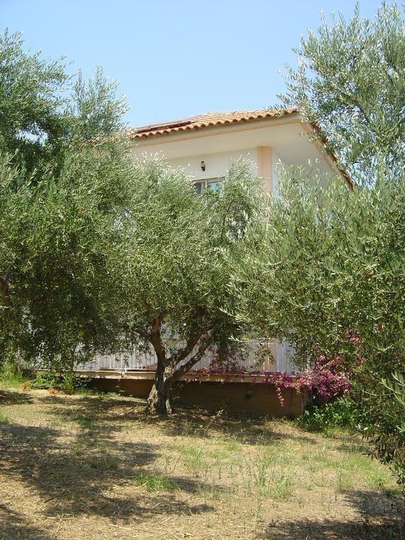 Kómboi Eleni Houses מראה חיצוני תמונה